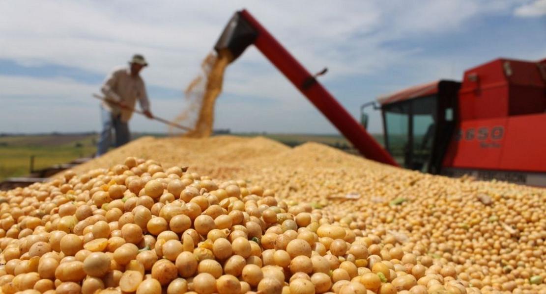 La soja entra en una nueva etapa: el mercado se reordena y aparecen grandes oportunidades