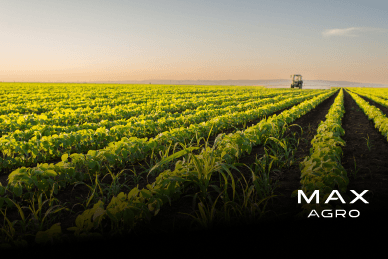 Informe Semanal Max Agro 18-08-2026